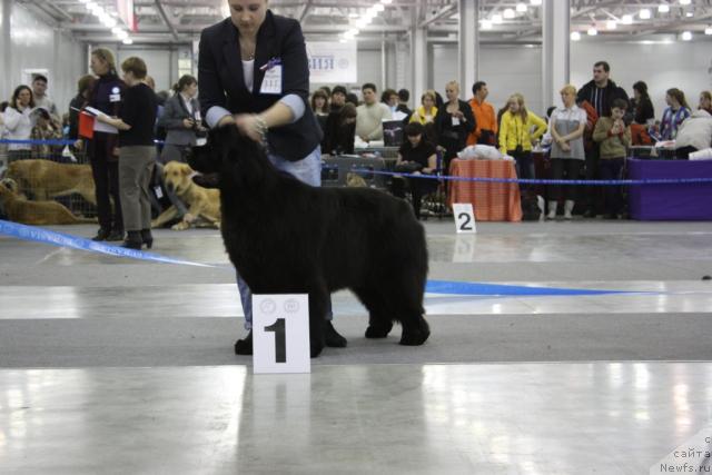 Фотография № 39820