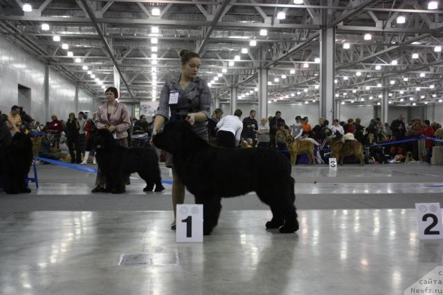 Фотография № 39824