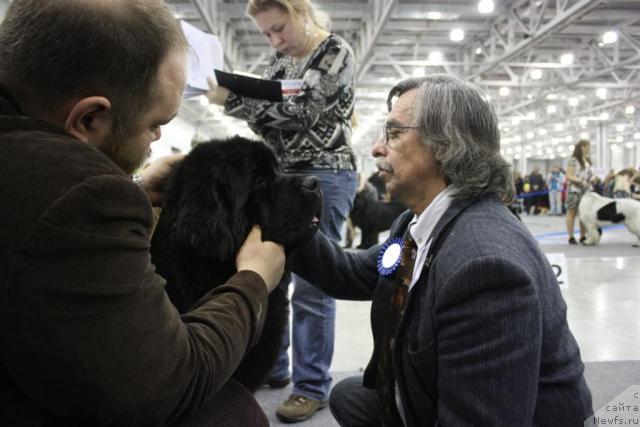 Фотография № 39827