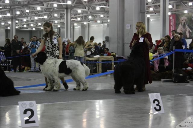 Фотография № 39828