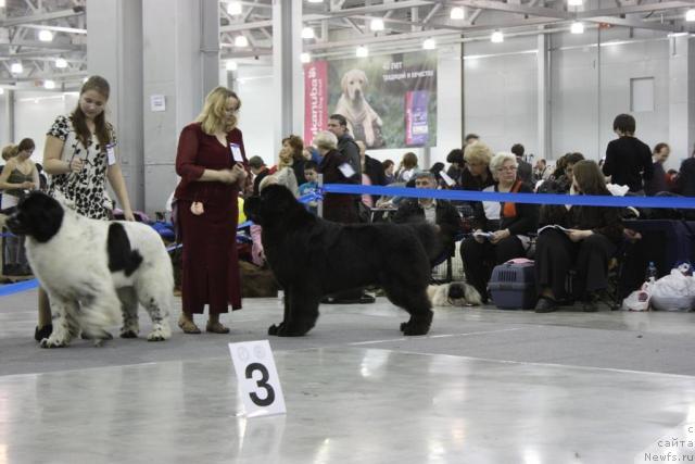 Фотография № 39829