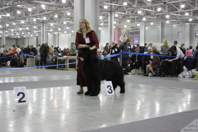 Фотография № 39834