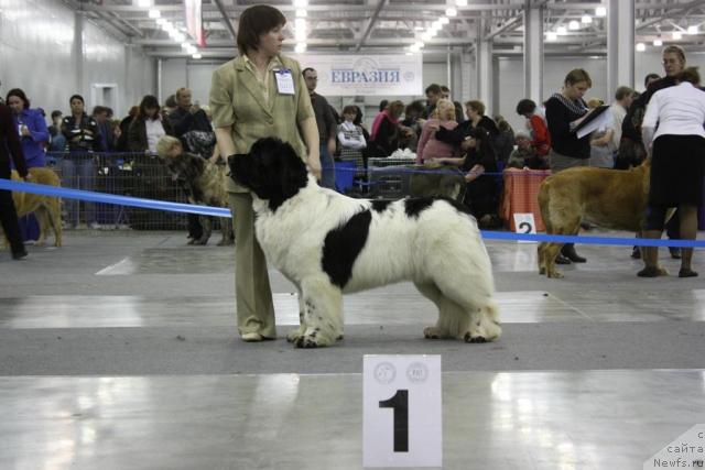 Фотография № 39836