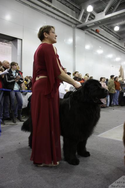 Фотография № 39837