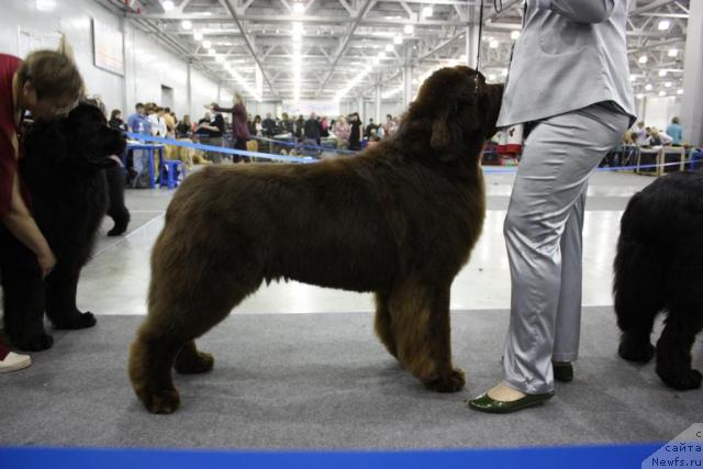 Фотография № 39838