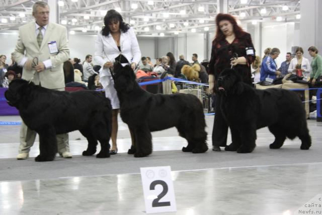 Фотография № 39839