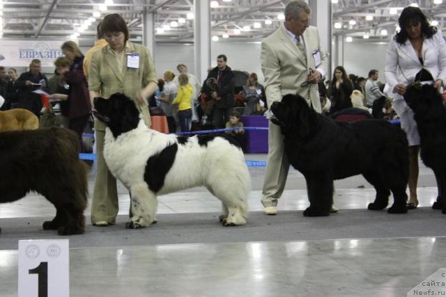 Фотография № 39840