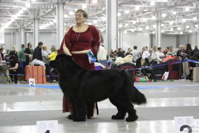 Фотография № 39842