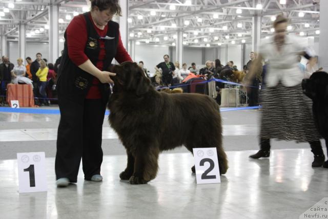 Фотография № 39843