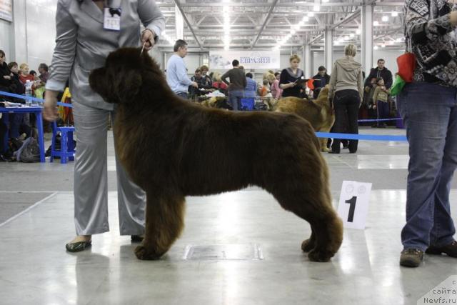 Фотография № 39844