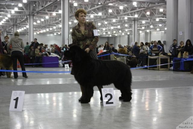 Фотография № 39845