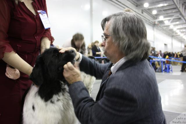 Фотография № 39847