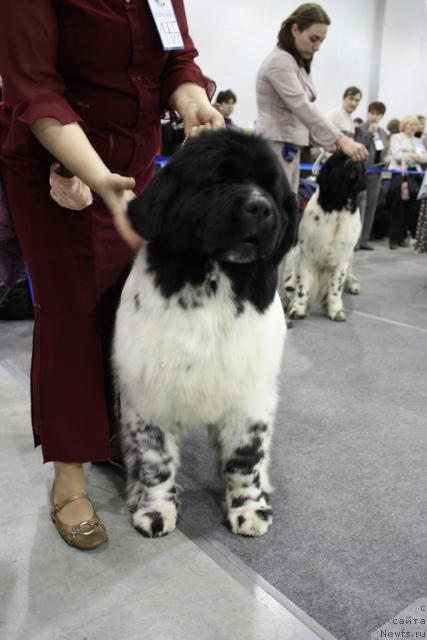 Фотография № 39848