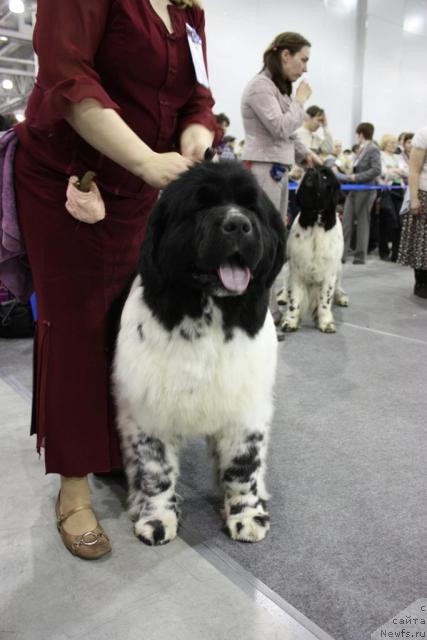 Фотография № 39849