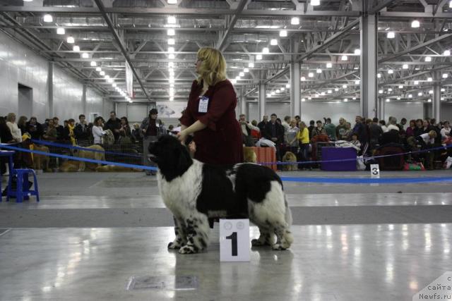 Фотография № 39850