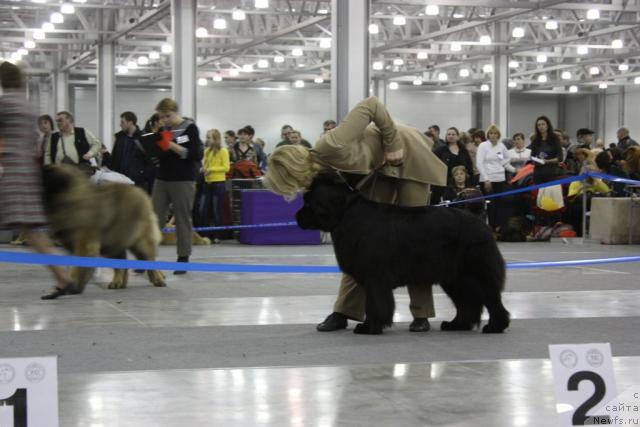 Фотография № 39852