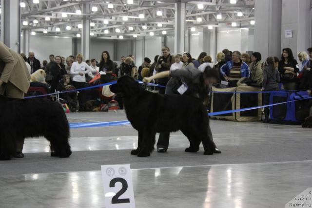 Фотография № 39855