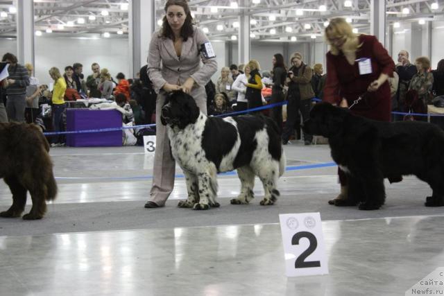 Фотография № 39856