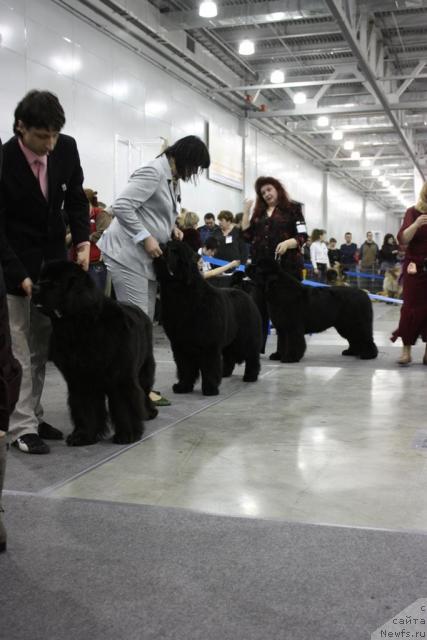 Фотография № 39859