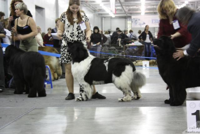 Фотография № 39861