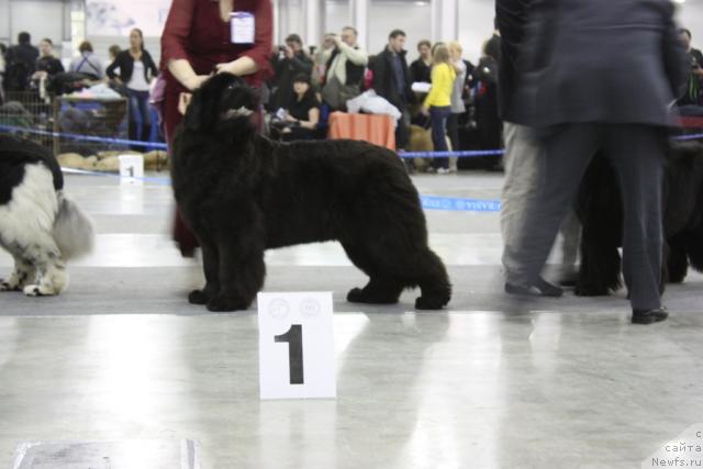 Фотография № 39862