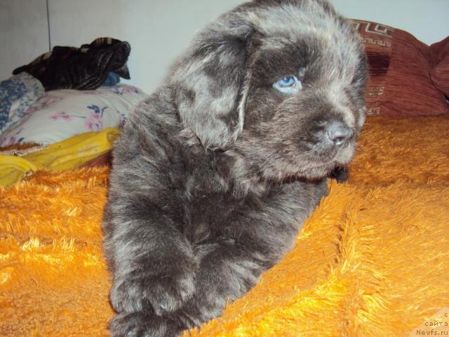 Фотография № 39874