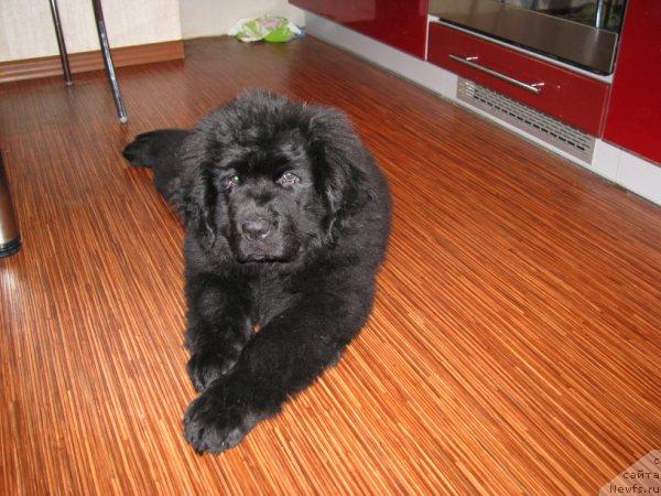 Фотография № 39882