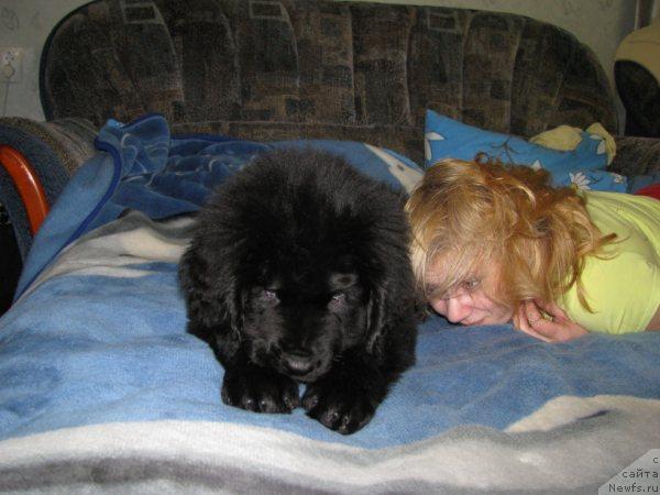 Фотография № 39884