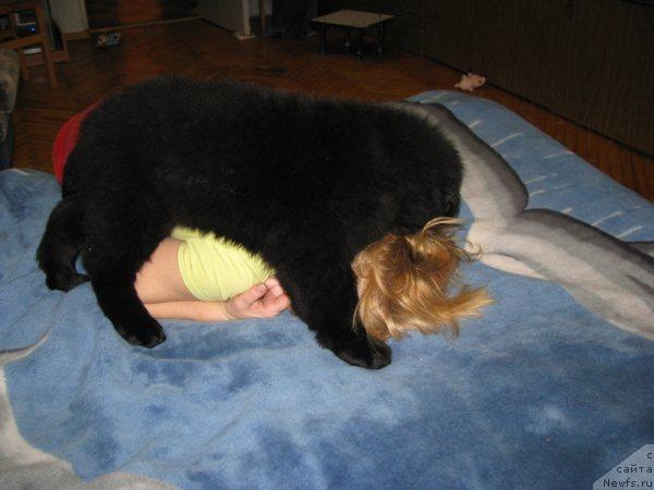 Фотография № 39885