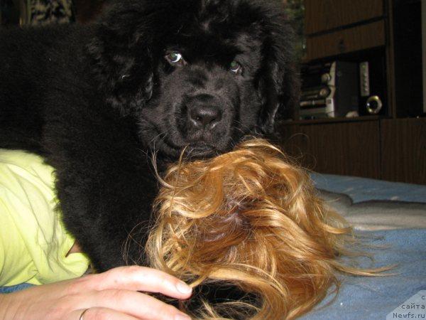 Фотография № 39886