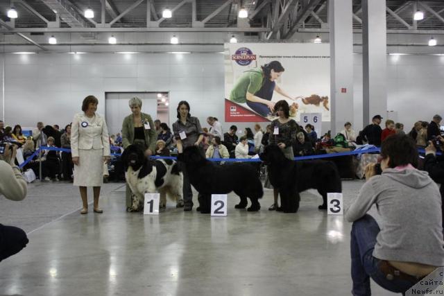 Фотография № 39899