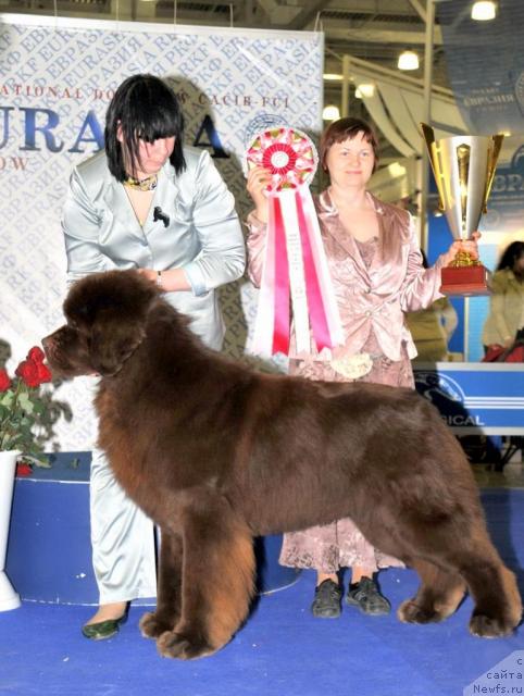 Фотография № 39939