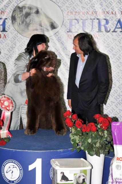 Фотография № 39941