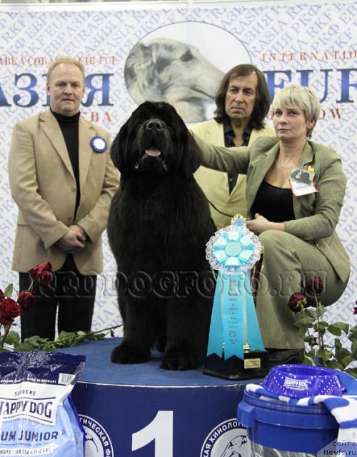 Фотография № 39943