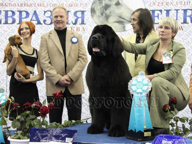 Фотография № 39944