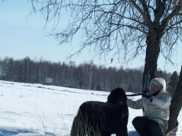 Фото: Natal'ya Berejneva (Наталья Бережнева)