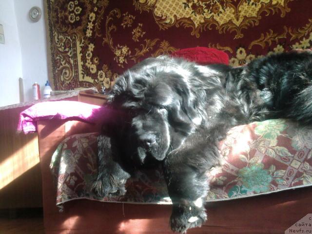 Фотография № 39974