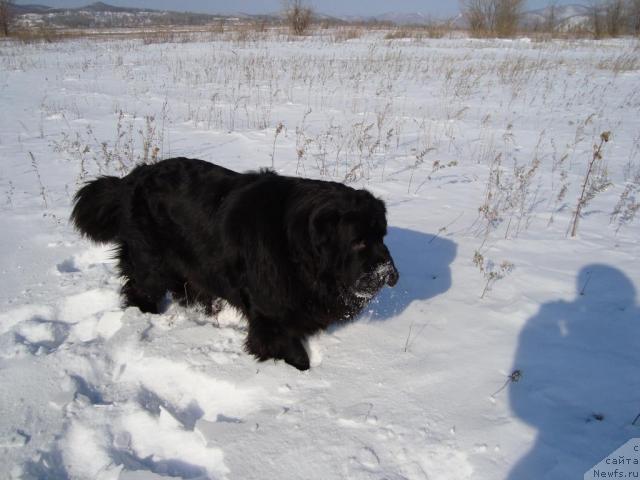 Фотография № 39975