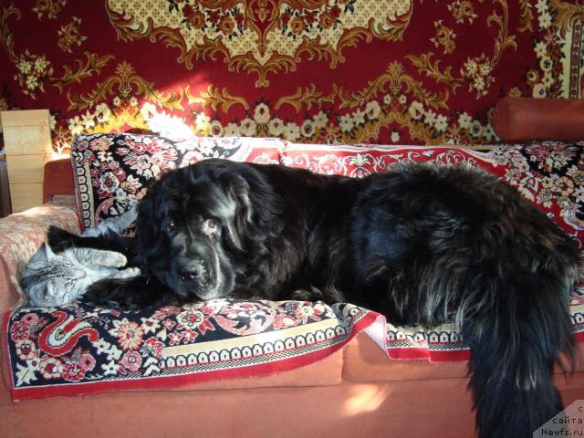 Фото: Elena Matyushkova (Елена Матюшкова)