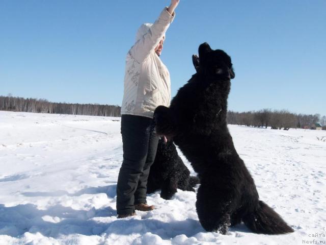 Фото: Natal'ya Berejneva (Наталья Бережнева)