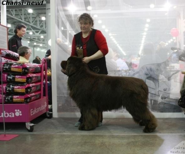 Фотография № 40071