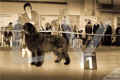 Фотография № 40082