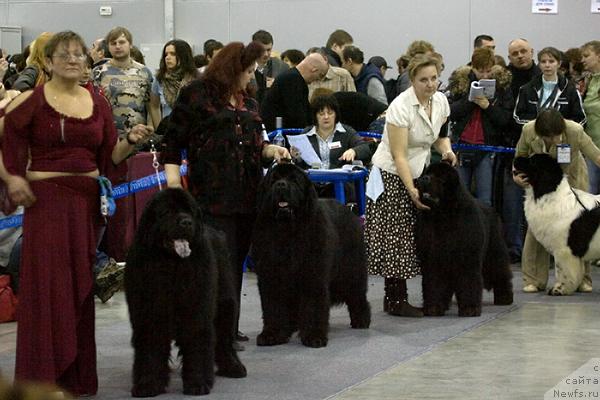 Фотография № 40096