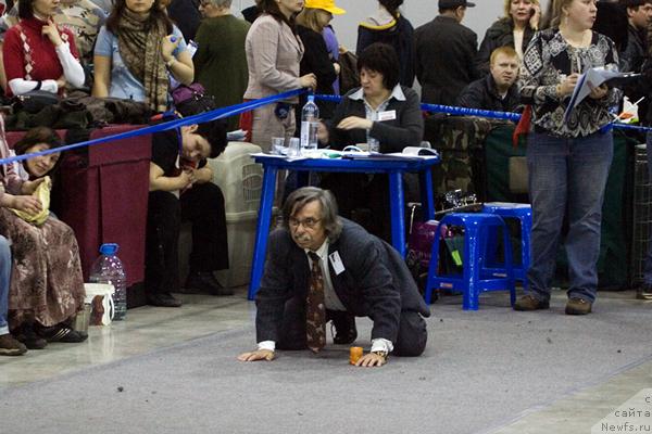 Фотография № 40110