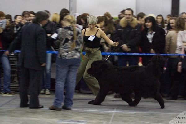 Фотография № 40111