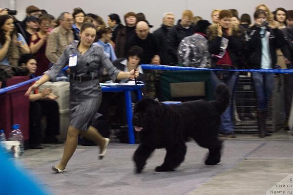 Фотография № 40112