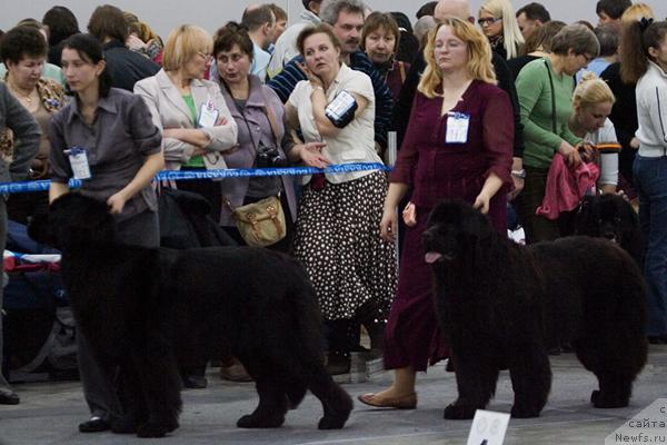 Фотография № 40114