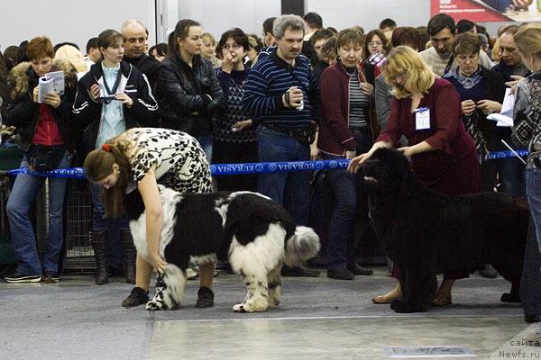 Фотография № 40121