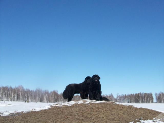 Фото: Natal'ya Berejneva (Наталья Бережнева)