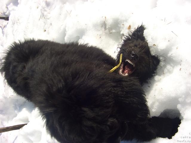 Фотография № 40174